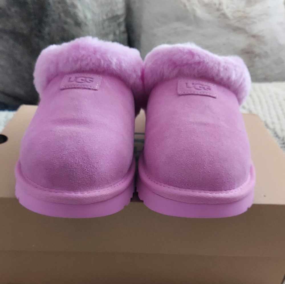 UGG Cozy Slipper - Echinacea - Picture 6 of 10